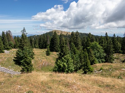 DCCG1X-20250717-1465