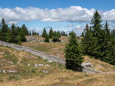 DCCG1X-20250717-1467