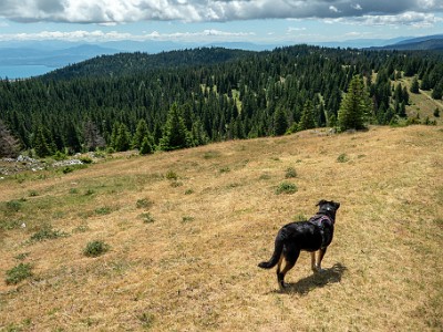 DCCG1X-20250717-1470