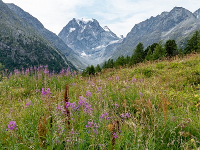 DCLDLUX8-20250806-1000809