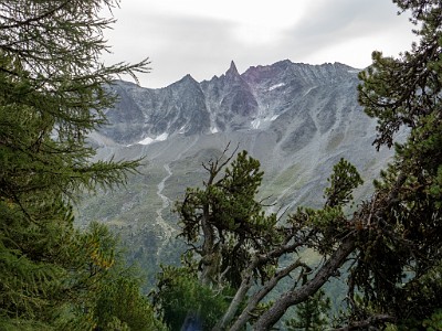 DCLDLUX8-20250806-1000810