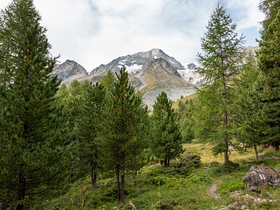 DCLDLUX8-20250806-1000811