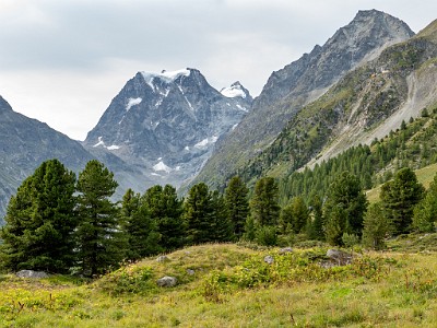 DCLDLUX8-20250806-1000814