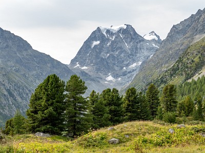 DCLDLUX8-20250806-1000816