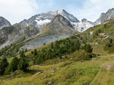 DCLDLUX8-20250806-1000817