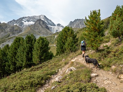 DCLDLUX8-20250806-1000819