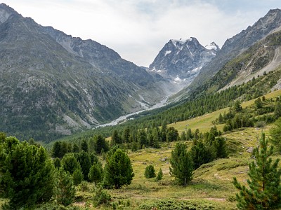 DCLDLUX8-20250806-1000820