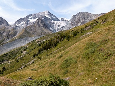 DCLDLUX8-20250806-1000824