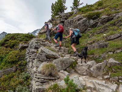 DCLDLUX8-20250806-1000827