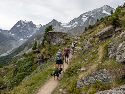 DCLDLUX8-20250806-1000828