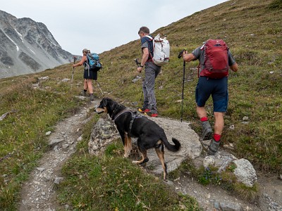 DCLDLUX8-20250806-1000830