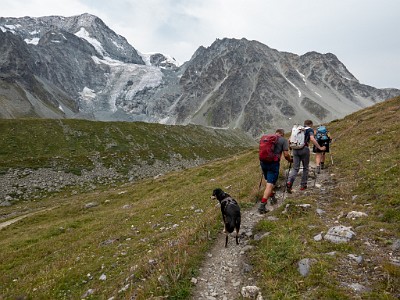 DCLDLUX8-20250806-1000831