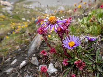 DCLDLUX8-20250806-1000839