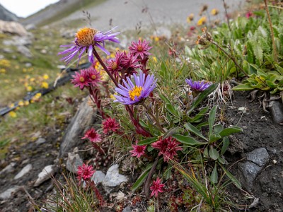 DCLDLUX8-20250806-1000841