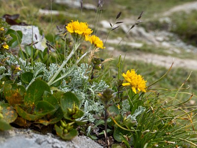 DCLDLUX8-20250806-1000856