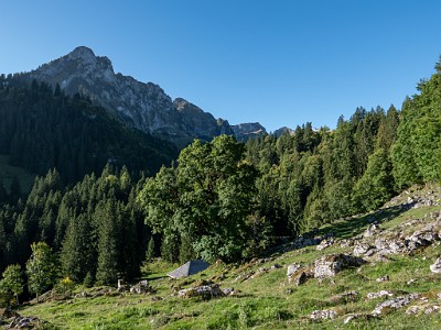 DCLDLUX8-20250919-1001555