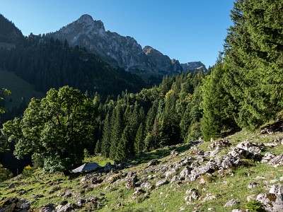 DCLDLUX8-20250919-1001556