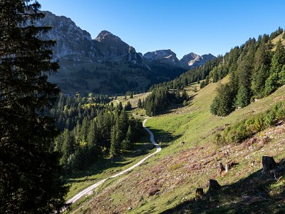 DCLDLUX8-20250919-1001560