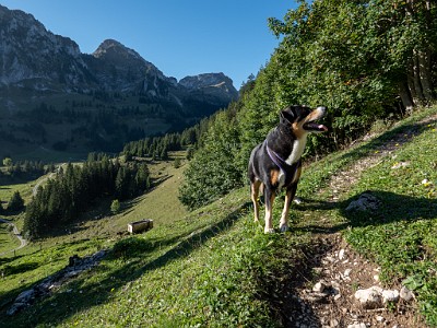 DCLDLUX8-20250919-1001561