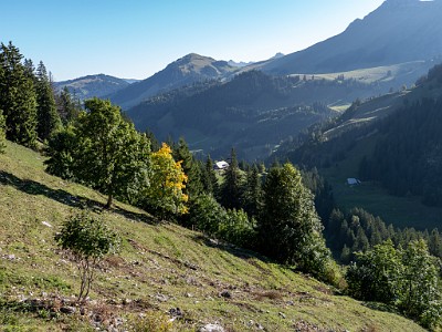 DCLDLUX8-20250919-1001562