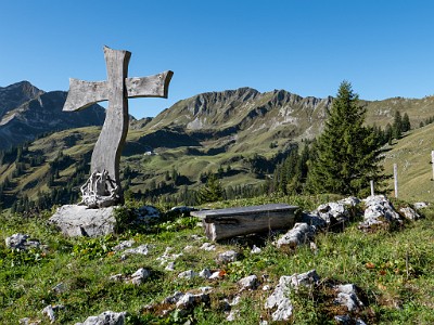 DCLDLUX8-20250919-1001565