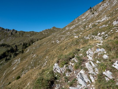 DCLDLUX8-20250919-1001570