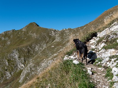 DCLDLUX8-20250919-1001574