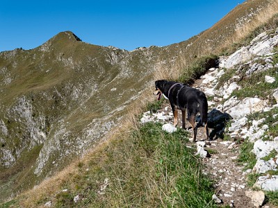 DCLDLUX8-20250919-1001576