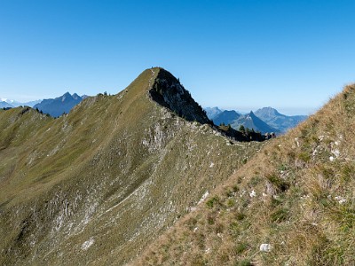 DCLDLUX8-20250919-1001580