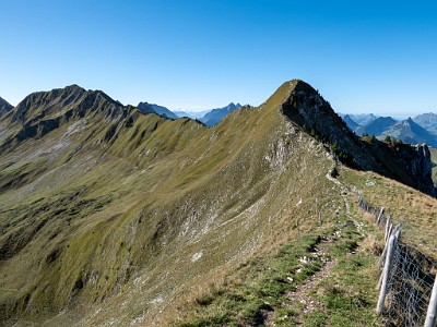 DCLDLUX8-20250919-1001583