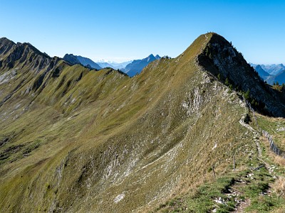 DCLDLUX8-20250919-1001584