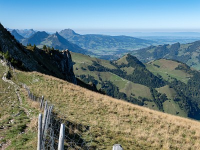 DCLDLUX8-20250919-1001585