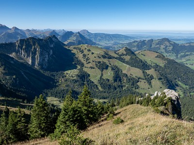 DCLDLUX8-20250919-1001586