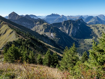 Patraflon (2025-09-19)