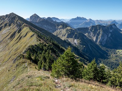 DCLDLUX8-20250919-1001590