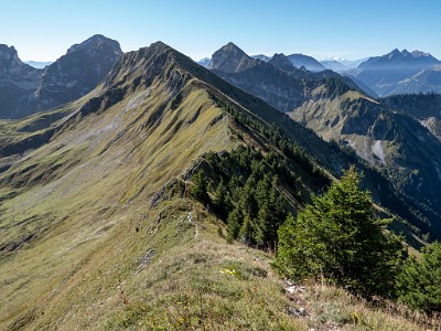 DCLDLUX8-20250919-1001592