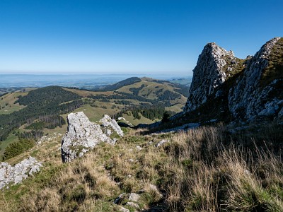 DCLDLUX8-20250919-1001593