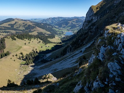 DCLDLUX8-20250919-1001594