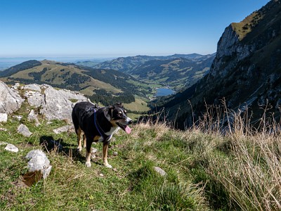 DCLDLUX8-20250919-1001595