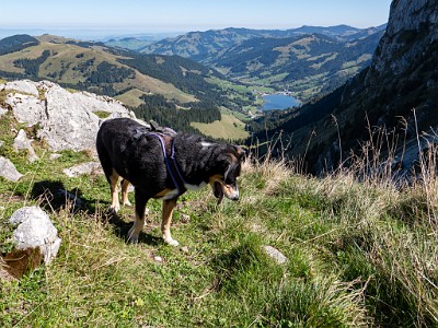 DCLDLUX8-20250919-1001596