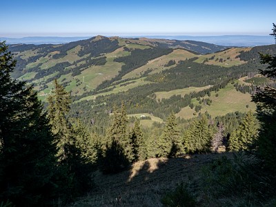 DCLDLUX8-20250919-1001597