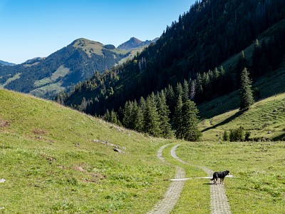 DCLDLUX8-20250919-1001599