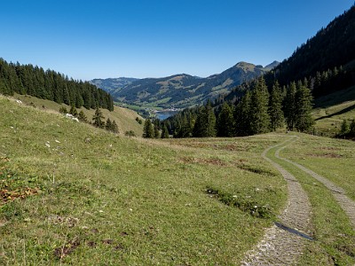 DCLDLUX8-20250919-1001600