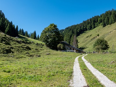 DCLDLUX8-20250919-1001601