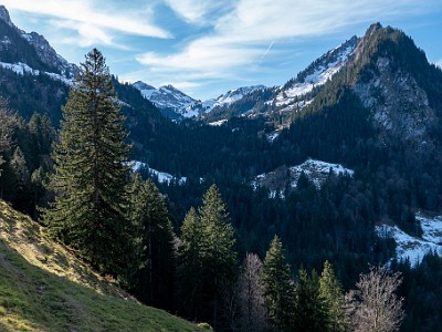 DCLDLUX8-20251218-1002183