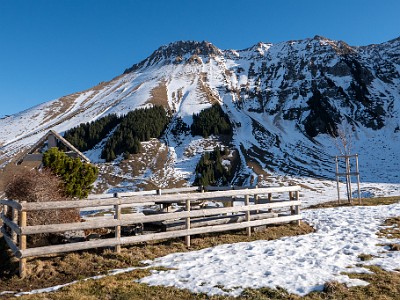 DCLDLUX8-20251218-1002189