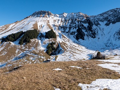 DCLDLUX8-20251218-1002191