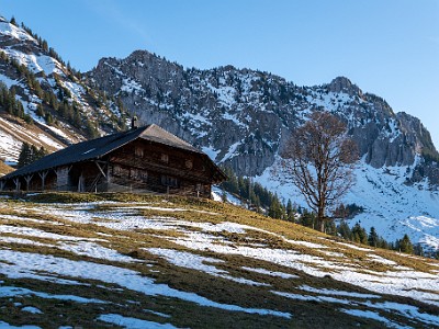 DCLDLUX8-20251218-1002192