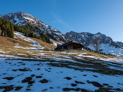 DCLDLUX8-20251218-1002193