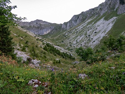 DCCG1X-20250813-1863